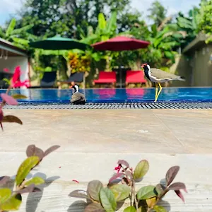 check availability
